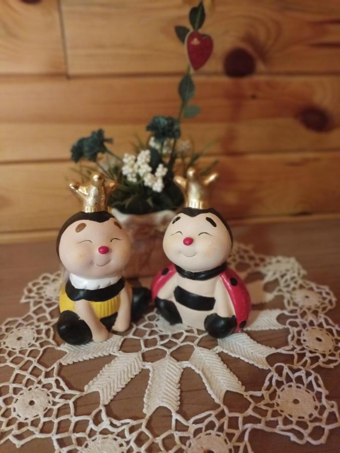 Lolini Bungalovi 诺威萨 外观 照片